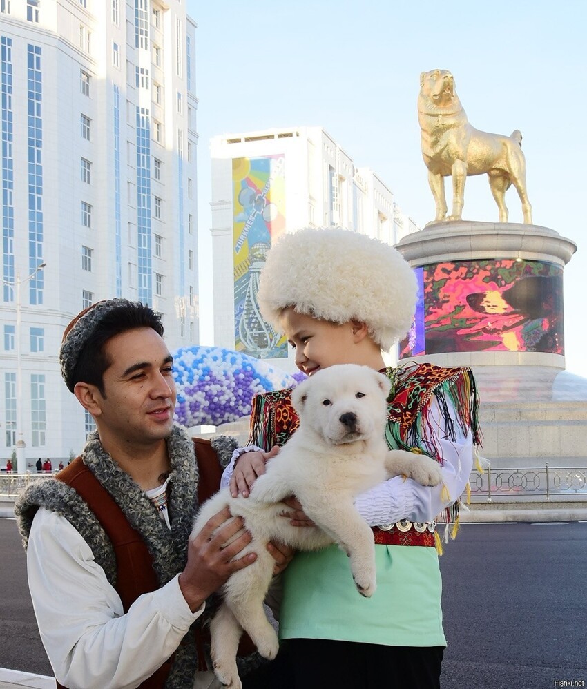 Когда солянщики мимикаются кошками, в Туркмении открыли памятник алабаю 