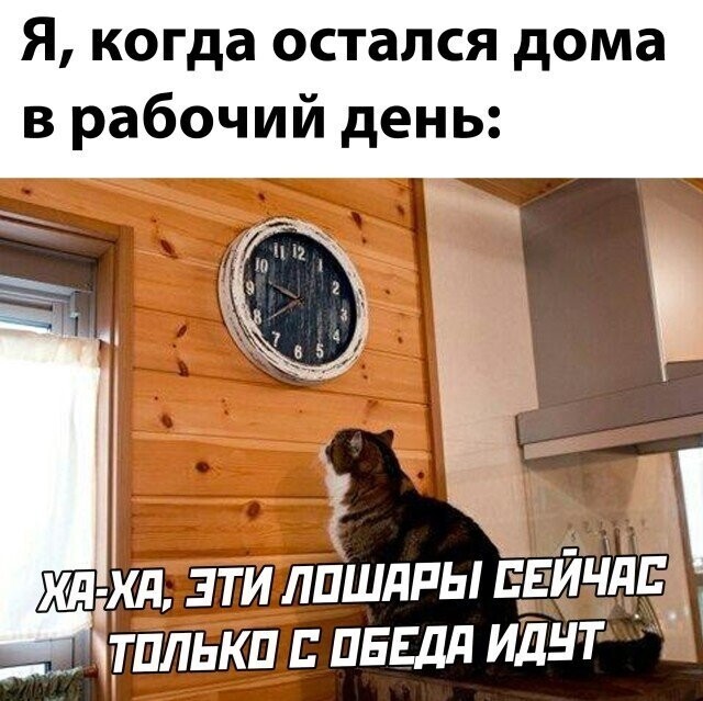 Намешалось