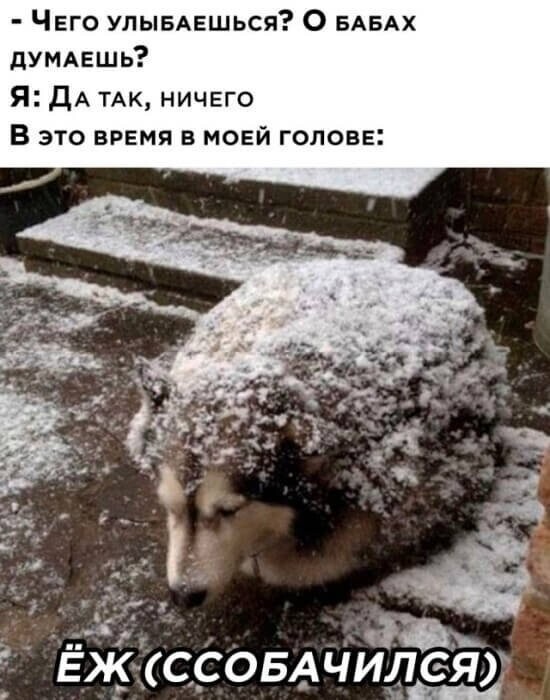 Намешалось