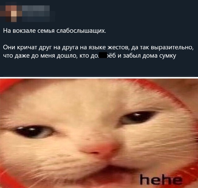 Скрины из социальных сетей