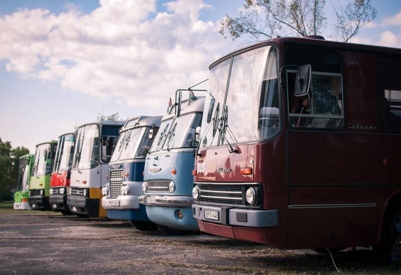 Посмотрите на красивые фотографии знакомых и неизвестных автобусов «Икарус» разных лет