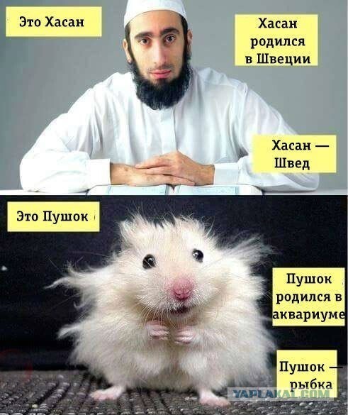 Школа толерантности