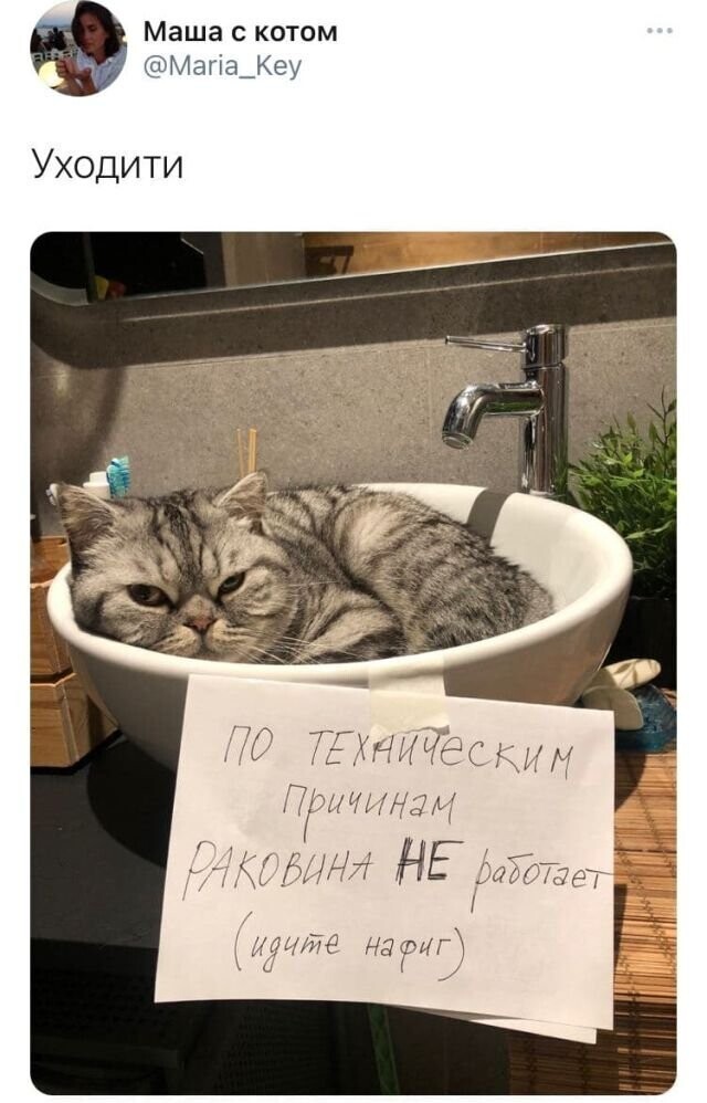 Скрины из социальных сетей