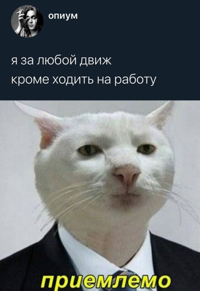 Скрины из социальных сетей