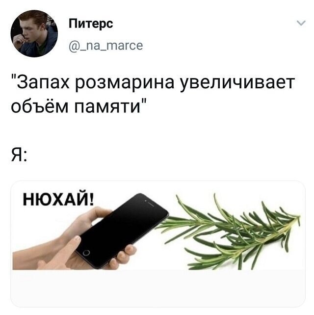 Скрины из социальных сетей