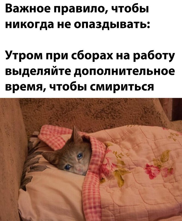 Намешалось