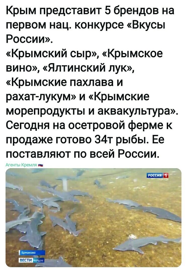 Политические комментарии из инета