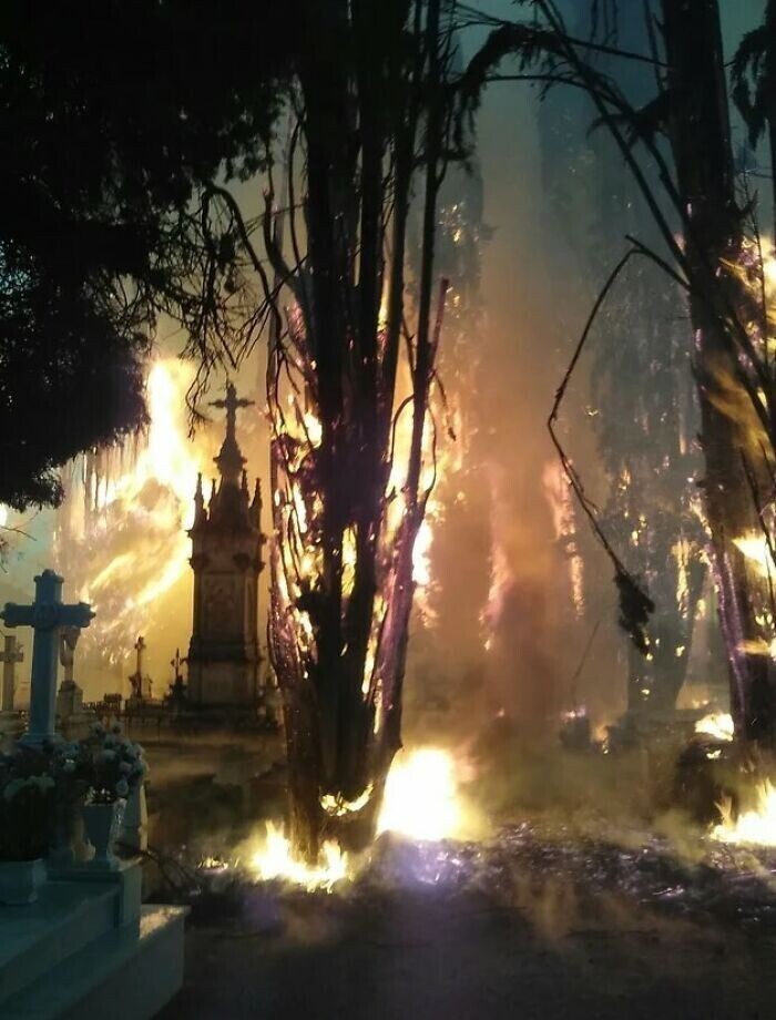 2. Вчерашний пожар на кладбище выглядит как кульминация фильма ужасов