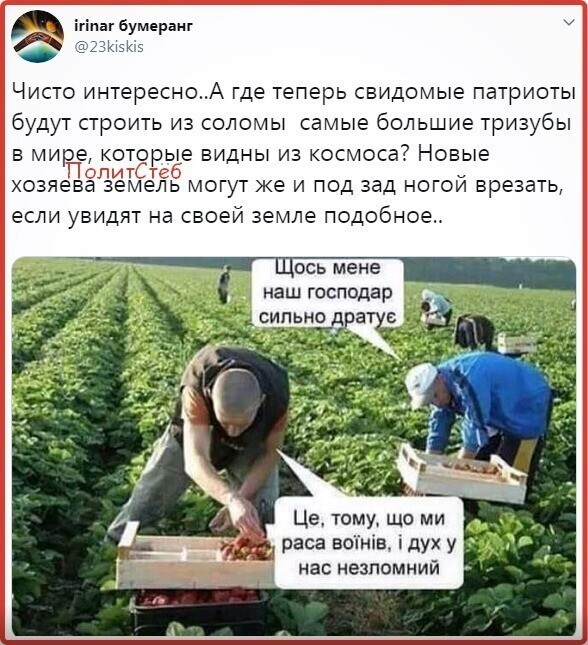 Политические комментарии из инета