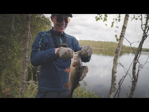 Чёрные рыбы торфяного озера. По новым местам в поисках крупной щуки