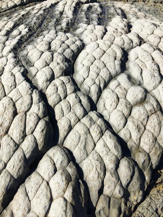 Камни выглядят как шкура дракона