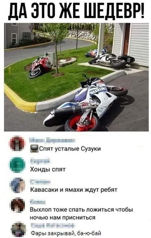 Прикольные и смешные картинки