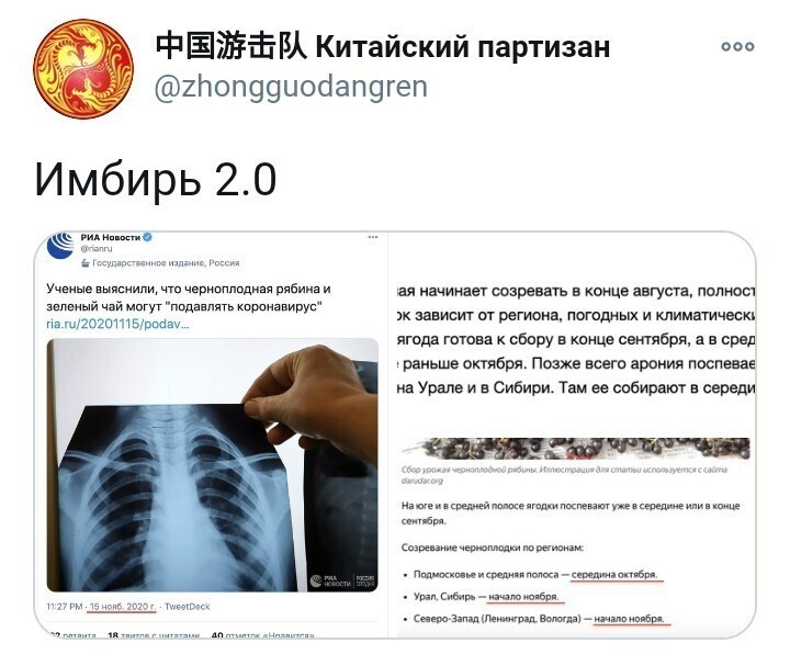Ко второй половине декабря выяснится, что аналогичным действием обладают холодец и оливье