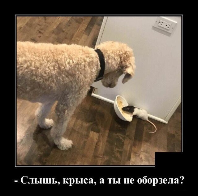 Не мемы,а демы! Часть 2