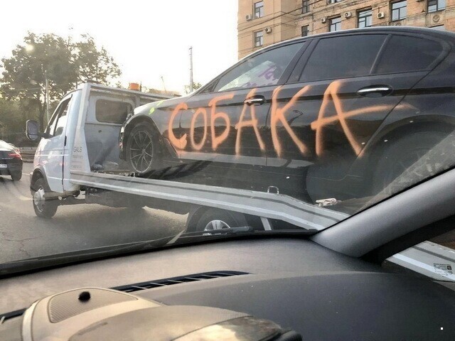 Автовсячина