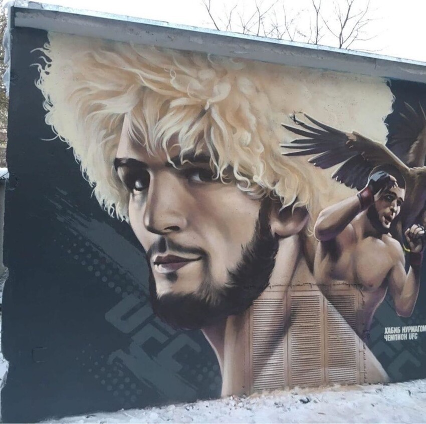 "Не наш герой": в Челябинске неизвестные испортили граффити с Нурмагомедовым