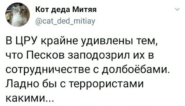 Политические комментарии из инета