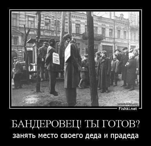Политические комментарии из инета