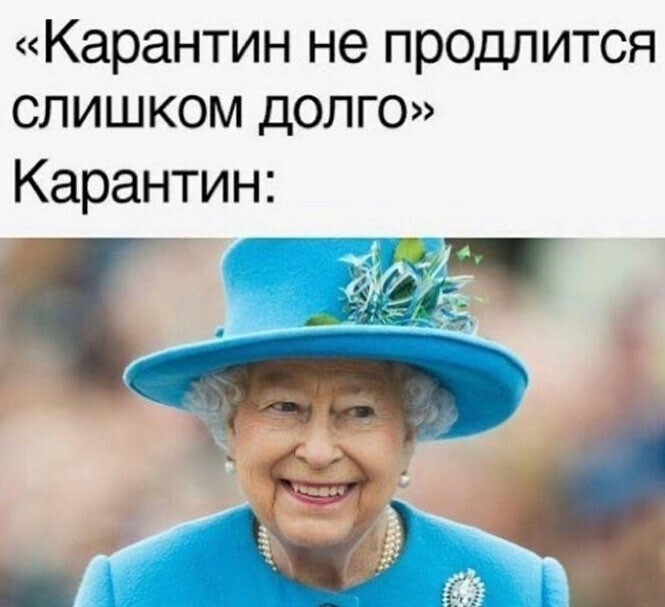 Прикольные и смешные картинки