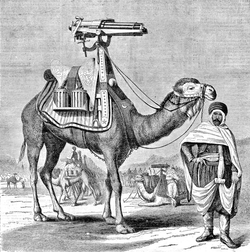 Перед Первой мировой войной было предпринято множество попыток сконструировать универсальное седло, чтобы любая часть оборудования могла быть загружена на любого мула.