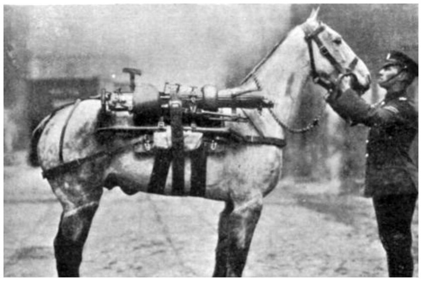 В 1912-18 годах болгарская армия использовала различные модели вьючных седел, которые были легче, чем у основных европейских армий