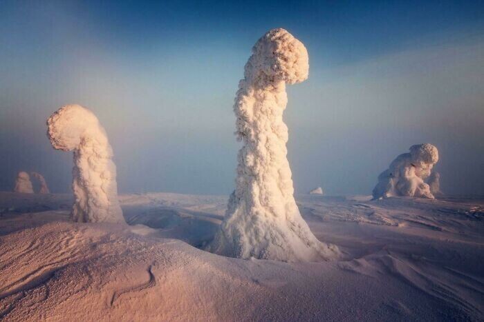 21. В Финляндии температура зимой опускается до -40 ° C, деревья покрыты таким количеством снега и льда, что это похоже на пейзаж с другой планеты