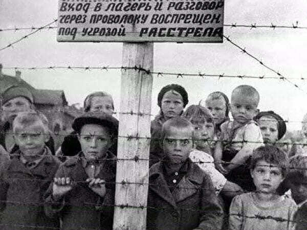 Политические комментарии из инета