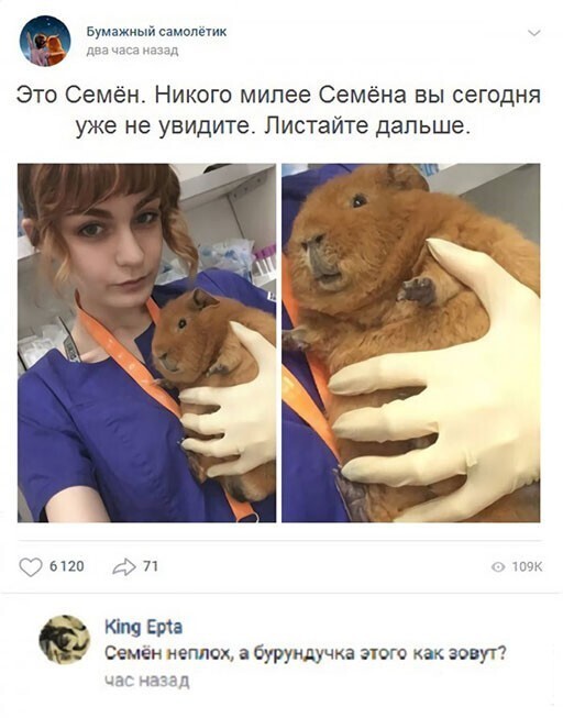 Прикольные и смешные картинки