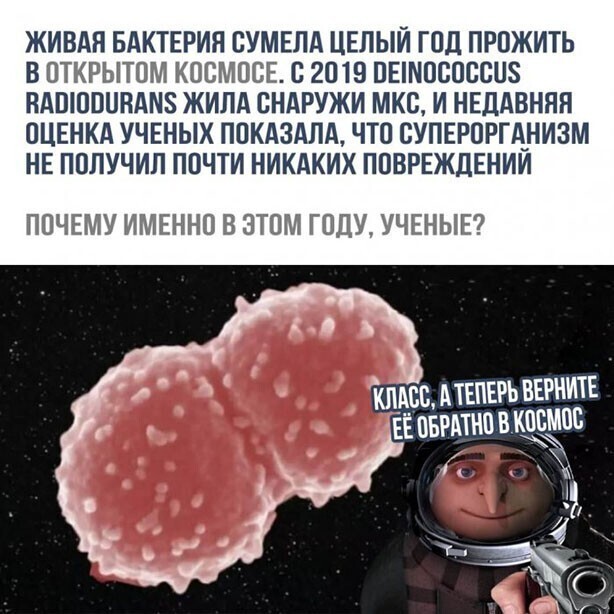 Прикольные и смешные картинки