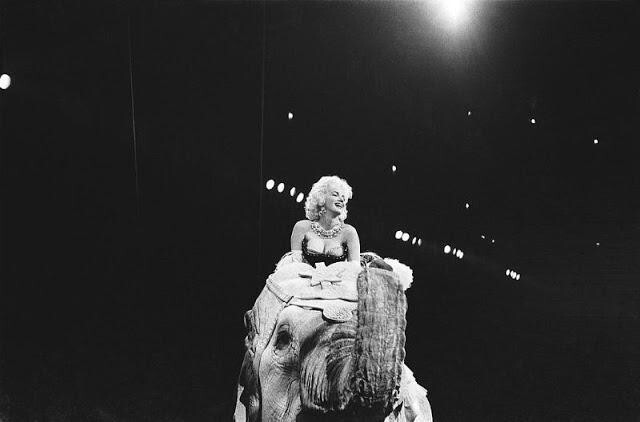 16 эффектных фото Мэрилин Монро верхом на розовом слоне