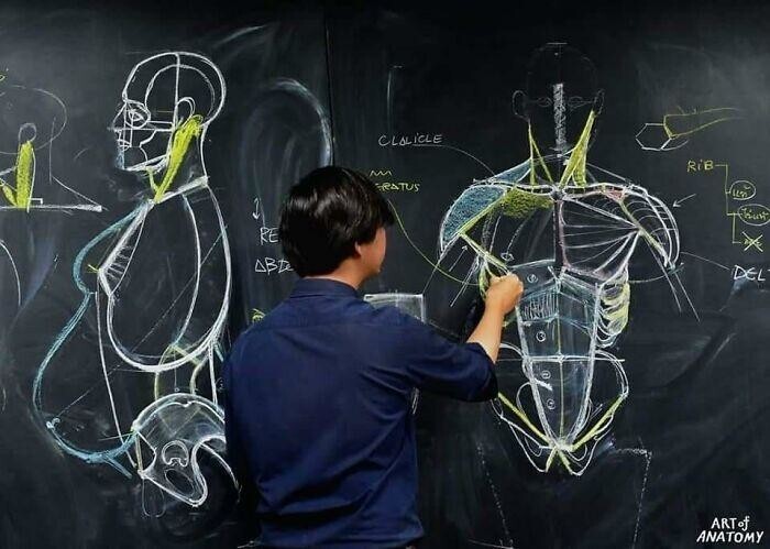 Курс Ваннарита «Анатомия для художника» направлен на передачу ученикам глубоких знаний о человеческом теле и рассматривает самые сложные его части.