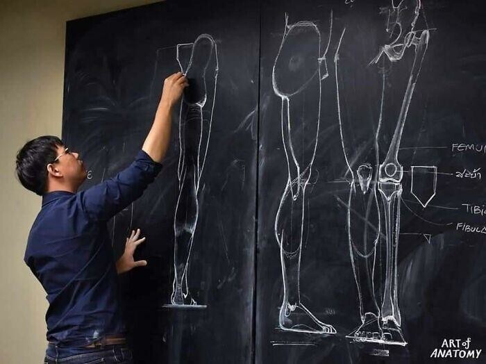 Учитель анатомии для художников из Таиланда стал звездой интернета