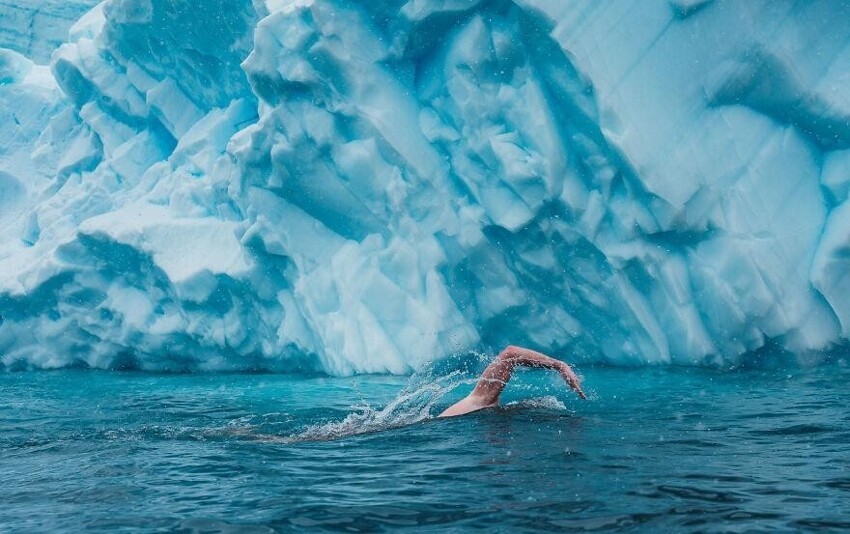 29. Пловец и защитник окружающей среды Льюис Пью плавает у берегов Антарктиды. Фотограф: Олле Норделл.