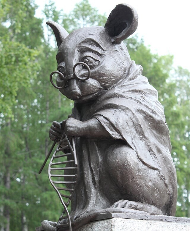 7. Памятник лабораторной мыши, Новосибирский академгородок