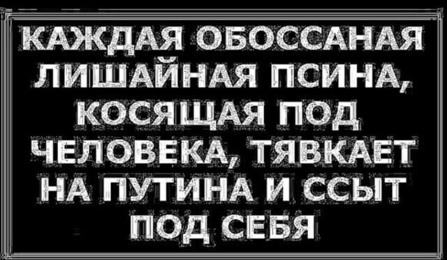 Политические комментарии из инета