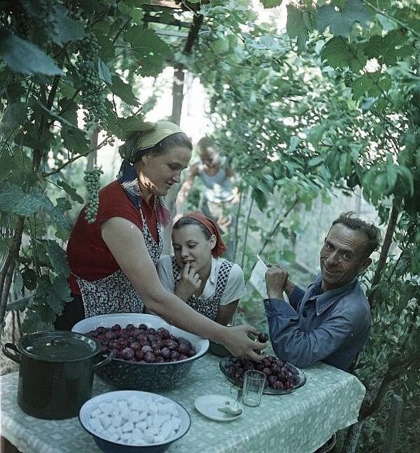 Варенье из фруктов собственного сада, июль 1957 года, Грузинская ССР, г. Рустави