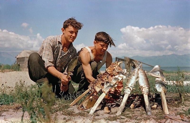 Рыбаки Николай Петров и Леонид Мороков из Нижне-Ангарского рыбокомбината готовят обед, 1958 год