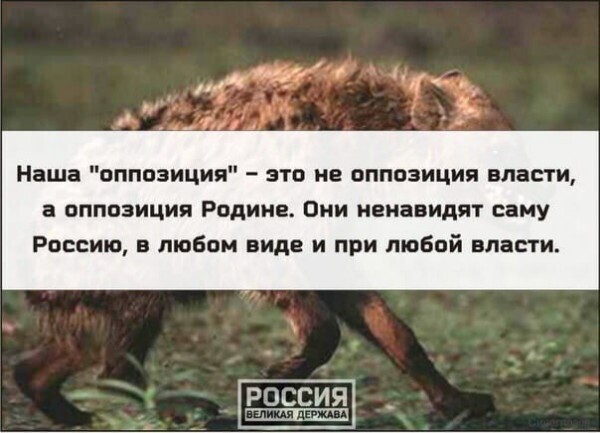 Политические комментарии из инета