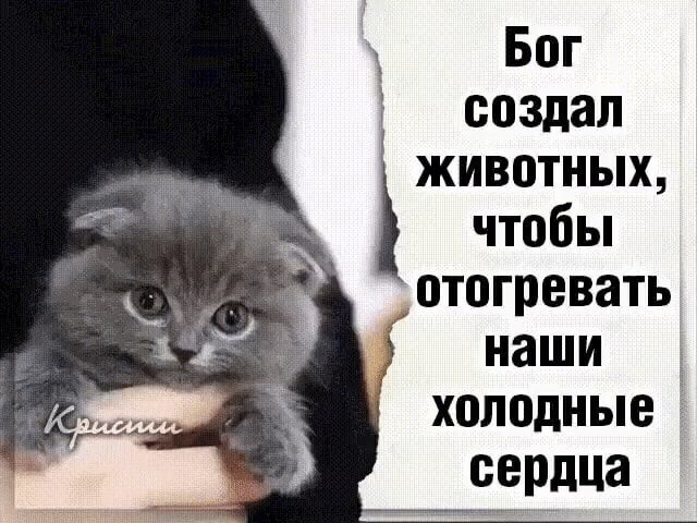 © Татьяна Пахоменко