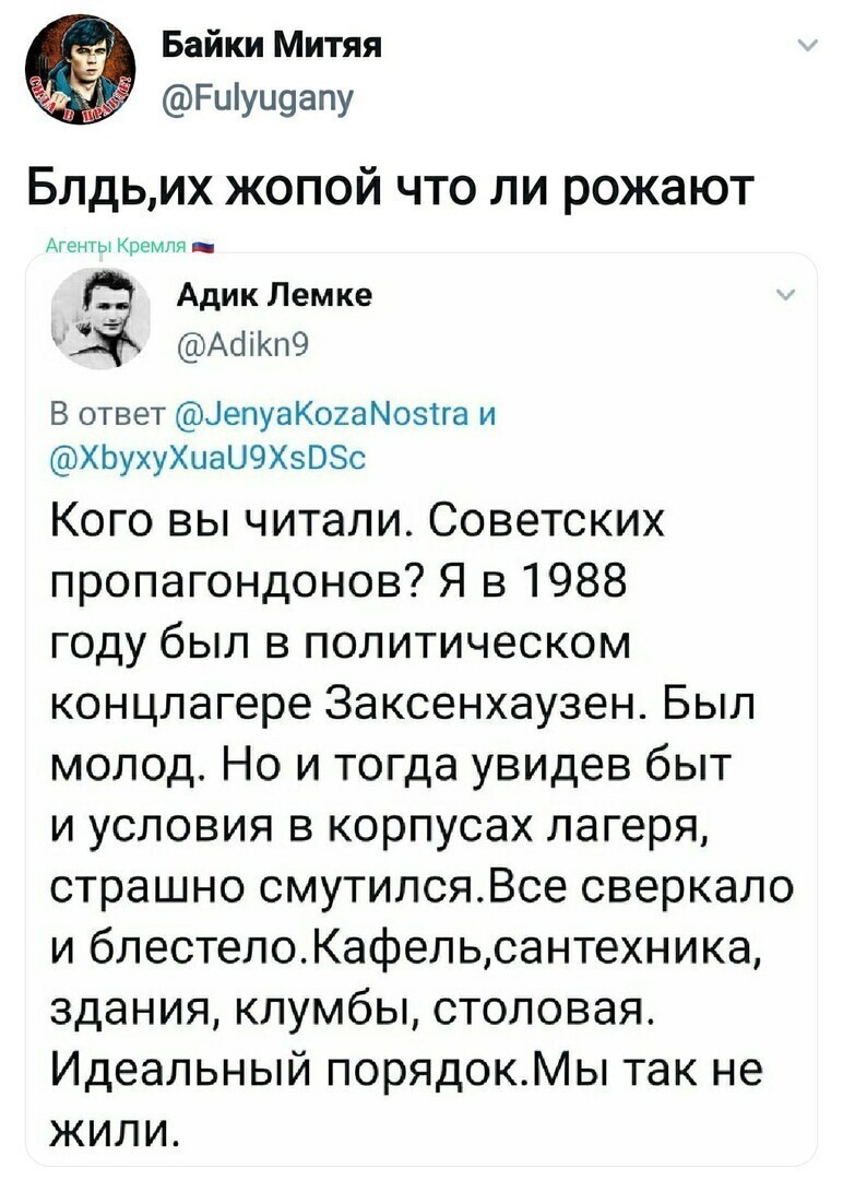 Политические комментарии из инета