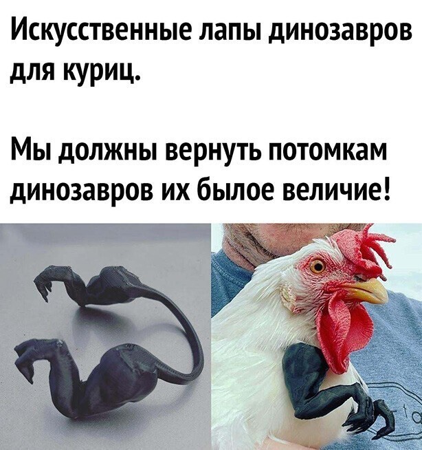 Прикольные и смешные картинки