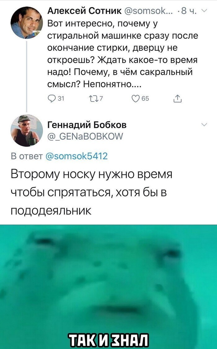 Скрины из социальных сетей