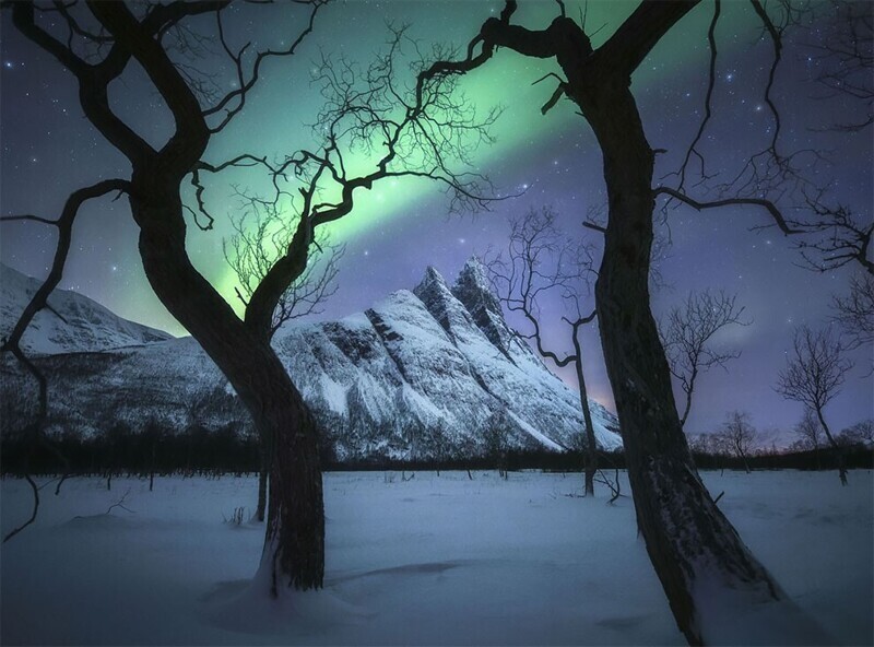 Волшебная ночь в Тромсё, Норвегия. Кельвин Юэн, победитель конкурса, фотограф года