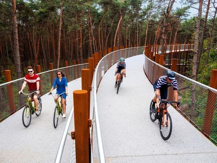 Велодорожка в Бельгии позволяет прокатиться по лесу на высоте 10 метров над землей
