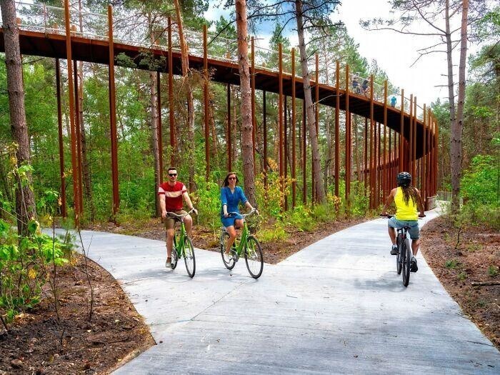 Велодорожка в Бельгии позволяет прокатиться по лесу на высоте 10 метров над землей