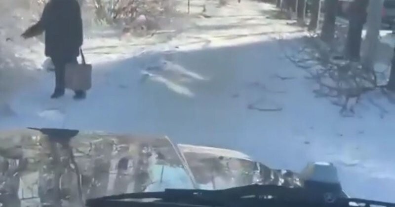 Автохам из Владивостока: молодой парень на «Гелике» объехал пробку по тротуару