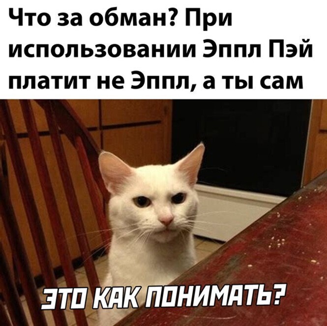 Прикольные и смешные картинки