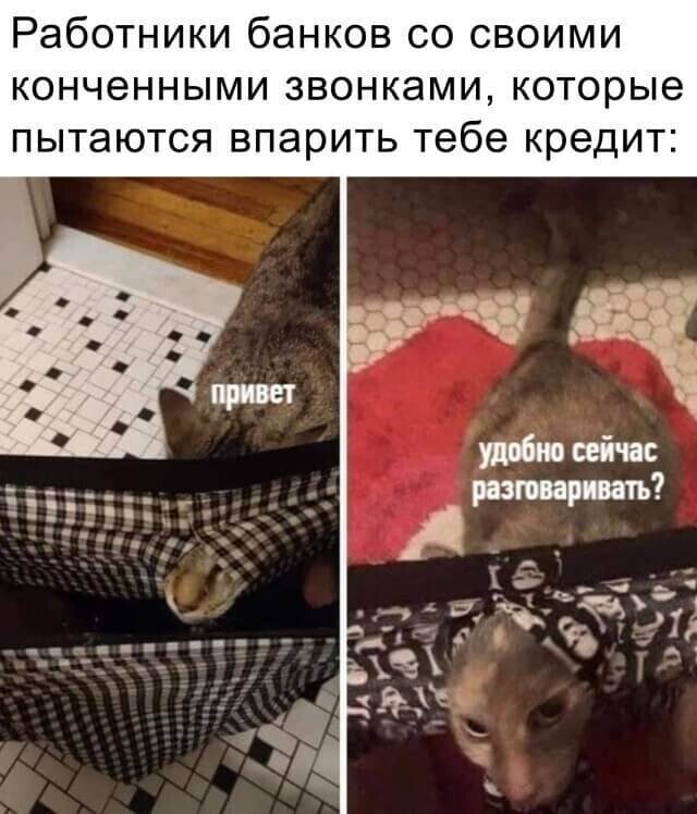 Намешалось