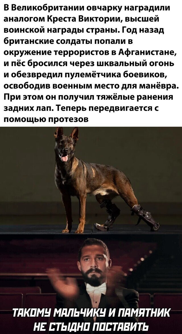 Намешалось