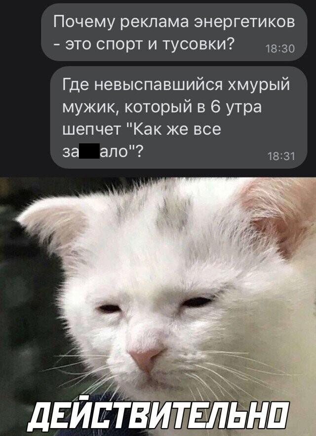 Скрины из социальных сетей